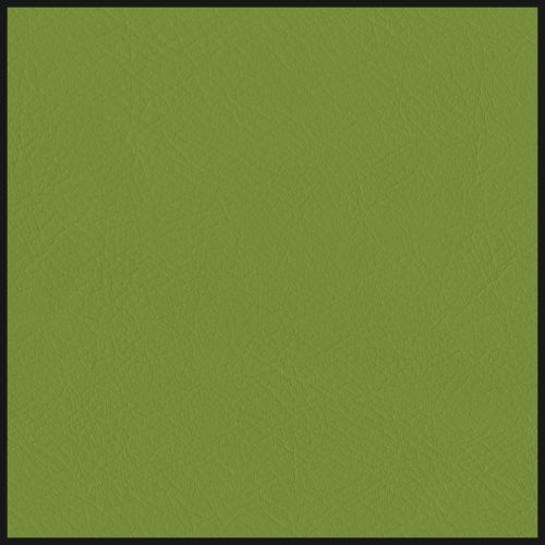 House Spring